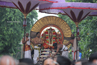 Aani,Suirya PRabhai, Purappadu , Vahanam,Sri Theliya Singar, Yoga Narasimhar,Brahmotsavam ,Purappadu,Video, Divya Prabhandam,Sri Parthasarathy Perumal, Triplicane,Thiruvallikeni,Utsavam,