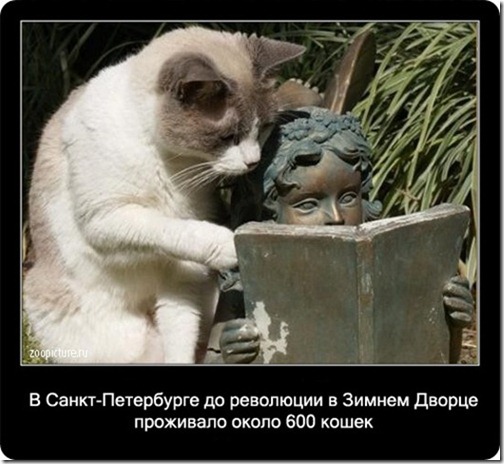 clip_image075