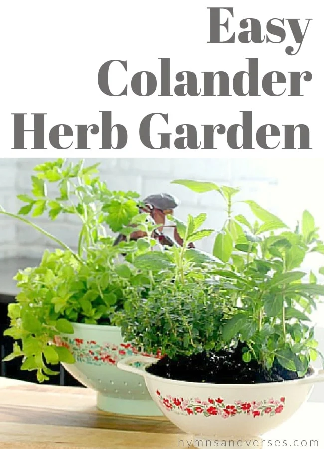 Hymns And Verses Easy Colander Herb Garden