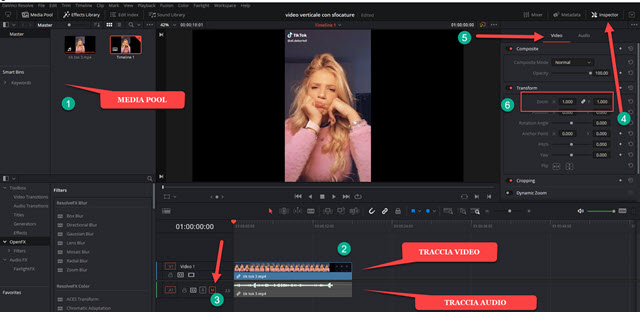 aggiunta del video verticale alla timeline di davinci resolve