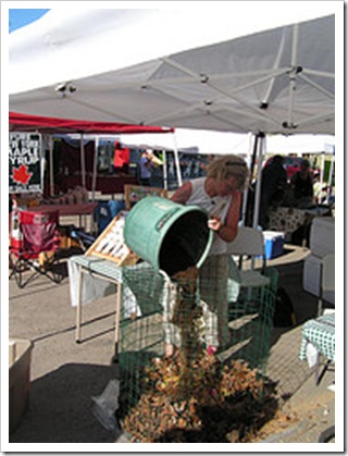 liz simonson composting