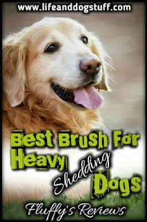 Best Brush for Heavy Shedding Dog - Fluffy's reviews