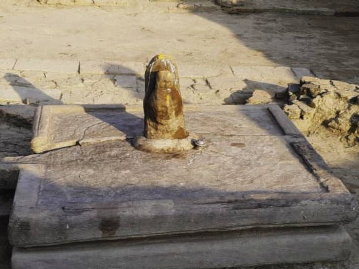 BHU scholars will reveal the secret of unique one-faced Shivling of Kashi