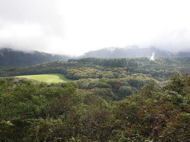 大休峠入り口に向かう山道　美しい大山の森