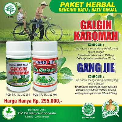 obat kencing batu/batu ginjal