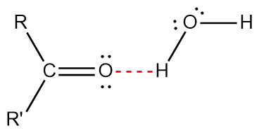 ketone-water hydrogen bonding