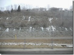 DSCN0988