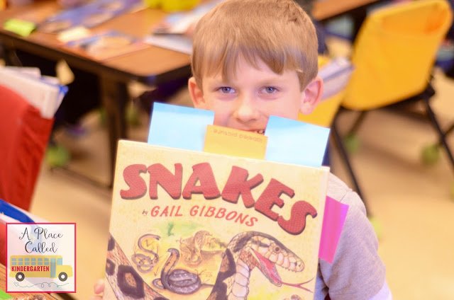 Read how writing workshop activities improve reading skills in Kindergarten. Writing workshop is a must in a Kindergarten classroom. Read how our youngest learners are already ready to be writers and readers. There is also a link to a great professional resource. 