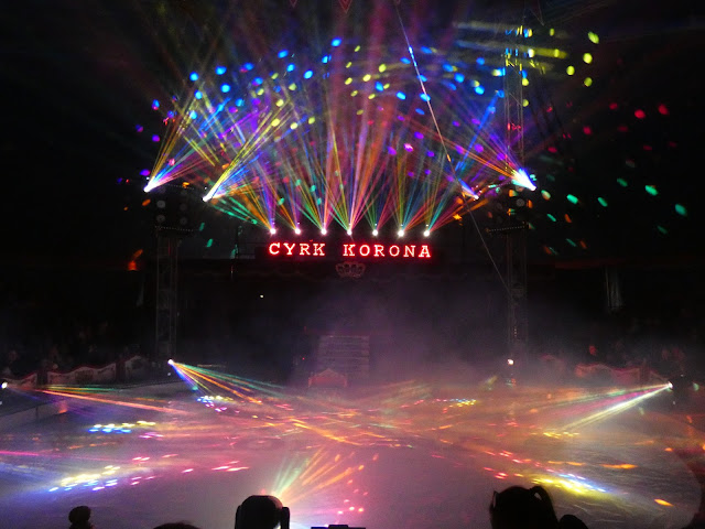 cyrk safari katowice