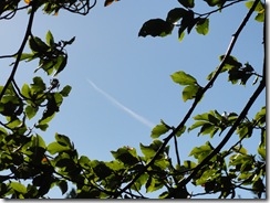 DSC05150