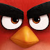 The Angry Birds: 2nd Conditional