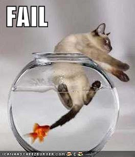 funny and cute animal images, LOL, ROFL,smiles, laughs, images, pictures,2012,2013