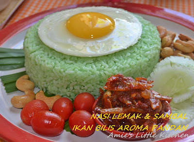 KOLEKSI GAMBAR NASI LEMAK mylinart