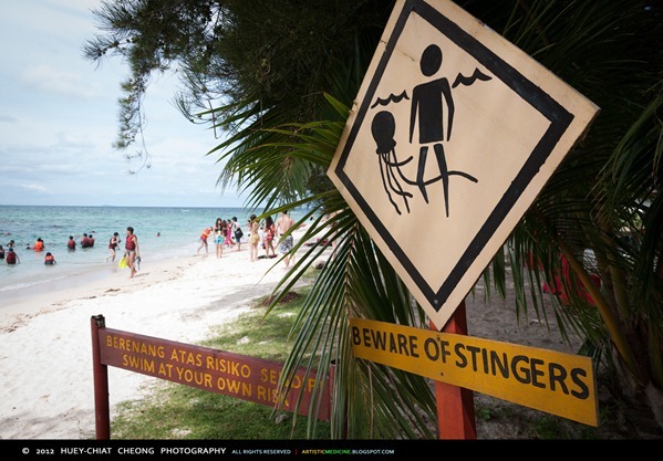 Beware of Stingers! | © 2012 Huey-Chiat Cheong Photography