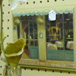 View album