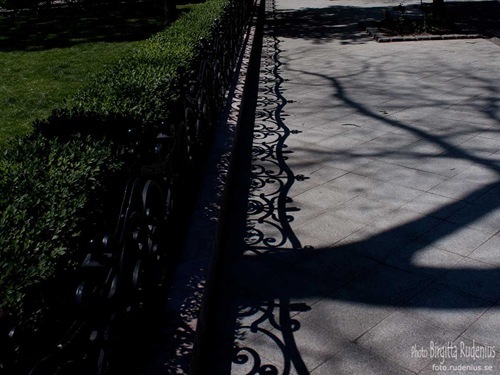 Shadows