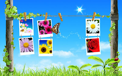 Spring Backgrounds