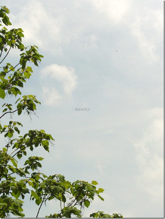 800x20110526_11：57