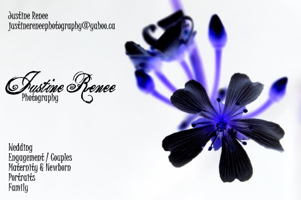 Justine Renee Photography