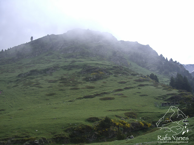 Ruta: Nuria-Gorgues de Carançà-Thues