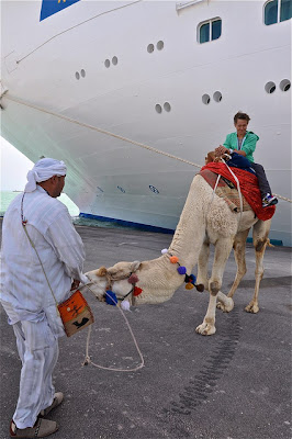 princess cruise with camel