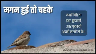मगन हुई तो चहके बाल कविता