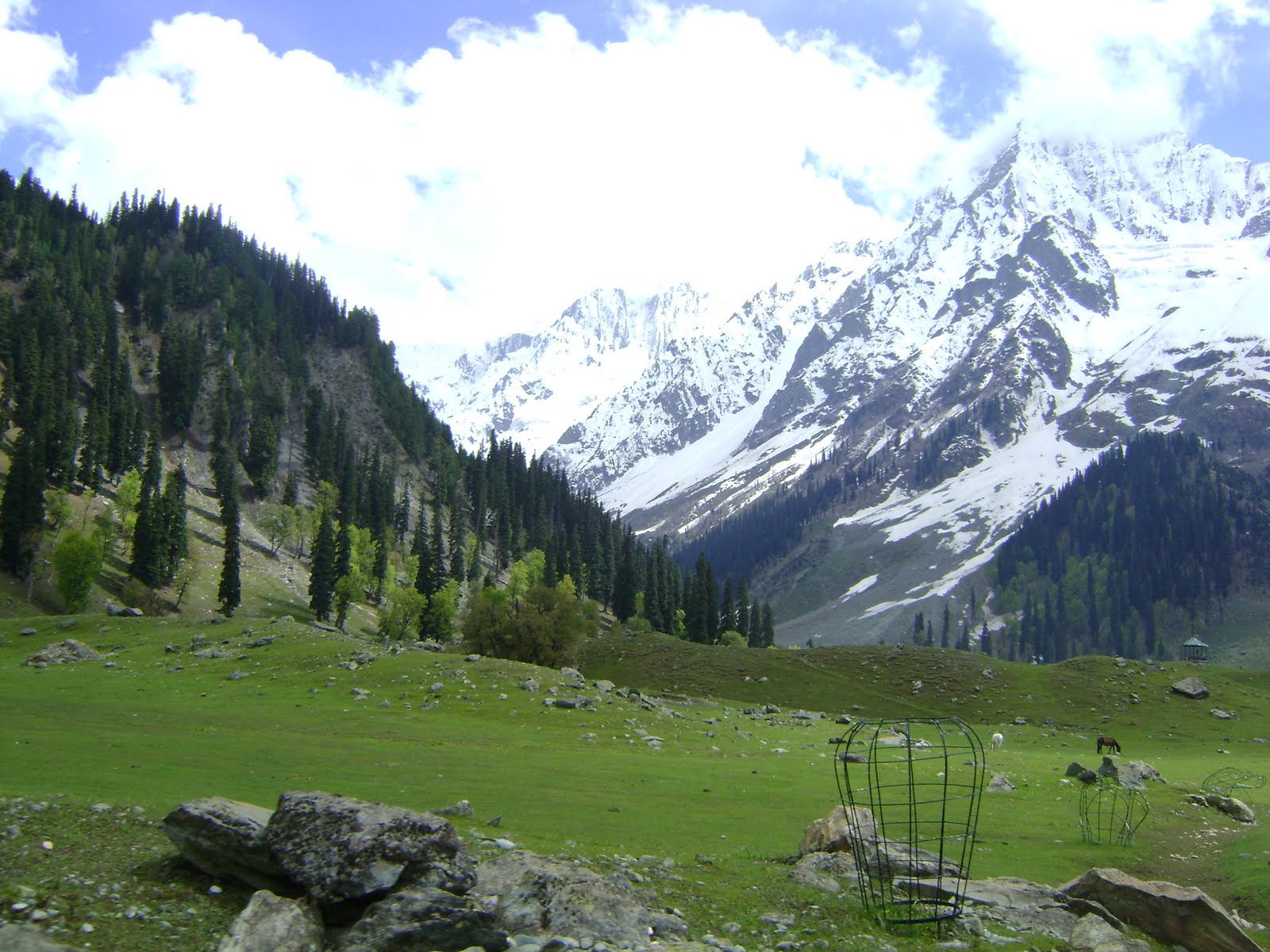 Tags: Nice valley kashmir , Valley wallpapers