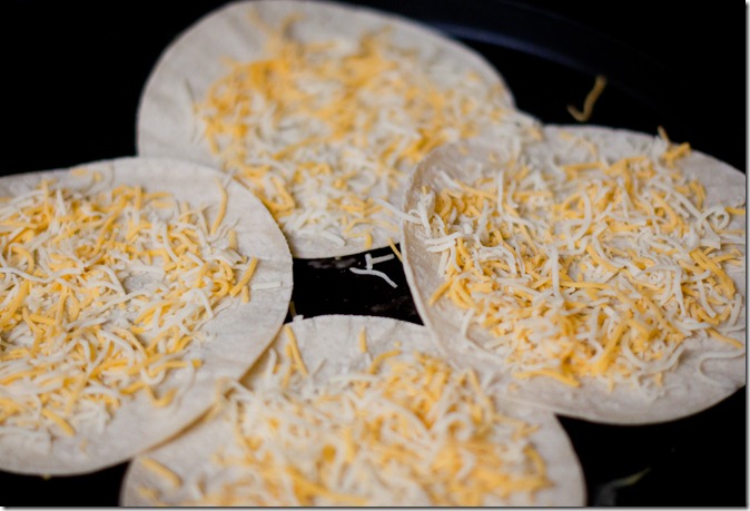 Buffalo Chicken Tacos-10