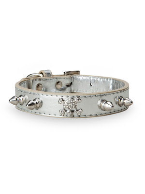 spike dog collar