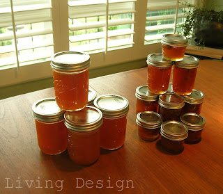 apricot jam canning