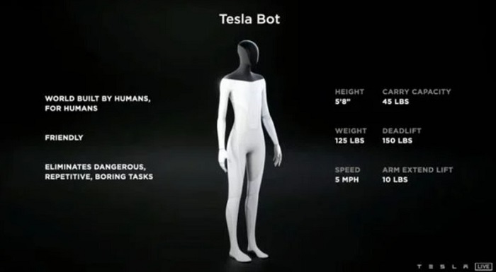 Will Tesla Optimus Bot Take Away Your Job
