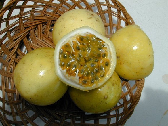 Yellow passion fruits recipes