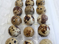 Quail Bird Eggs