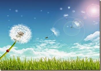 fly-away-dandelion-under-blue-sky_1280x1024_76550