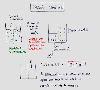 presion-osmotica