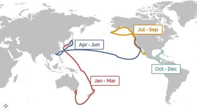 2017 Journey in the World