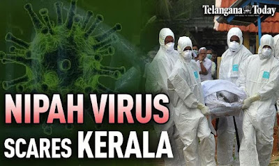 فيروس نيباه الجديد " Nipah virus"