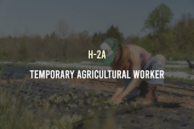 Temporary Agricultural Worker (H-2A) Visa