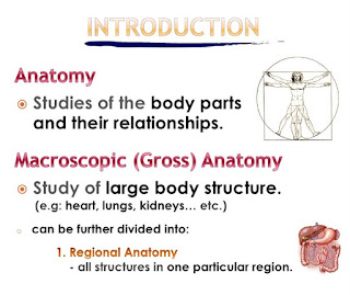 General Introduction To Anatomy physiology