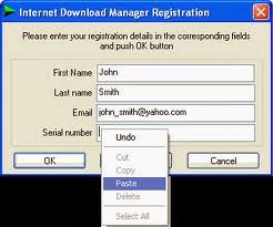 IDM Internet Download Manager 6.19 Build 1 Crack