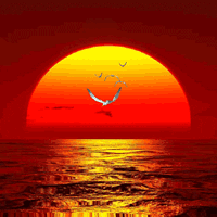 Serambi Burung Menyongsong Matahari Tenggelam