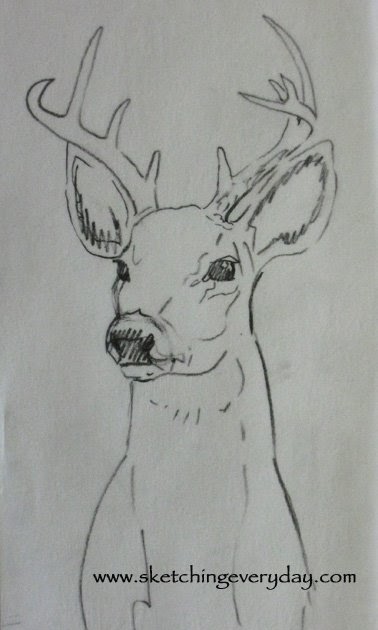 How to Draw a Deer  Nil Tech  shopniltech