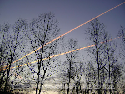 Jet trails across the early morning sky.