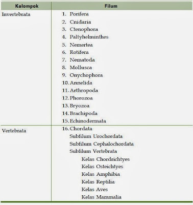 Klasifikasi Kingdom Animalia  Biologi Indonesia