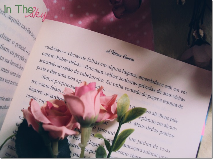 a última camélia03