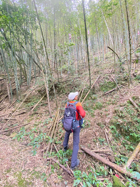 頭凍山登山口