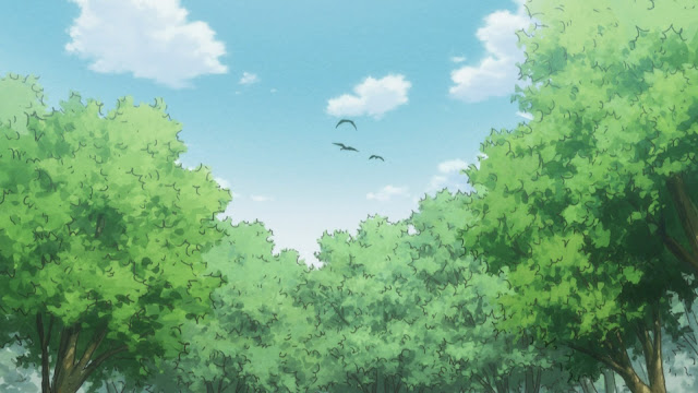 Hunter X Hunter Anime Forest Background