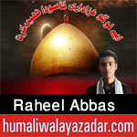 http://www.humaliwalayazadar.com/2017/10/raheel-abbas-nohay-2018.html