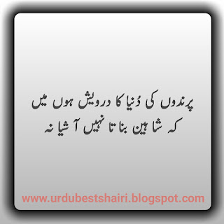 Allama Iqbal UrduPoetry