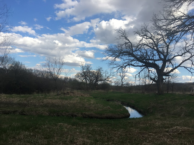 Southern Wisconsin Trout Fly Fishing